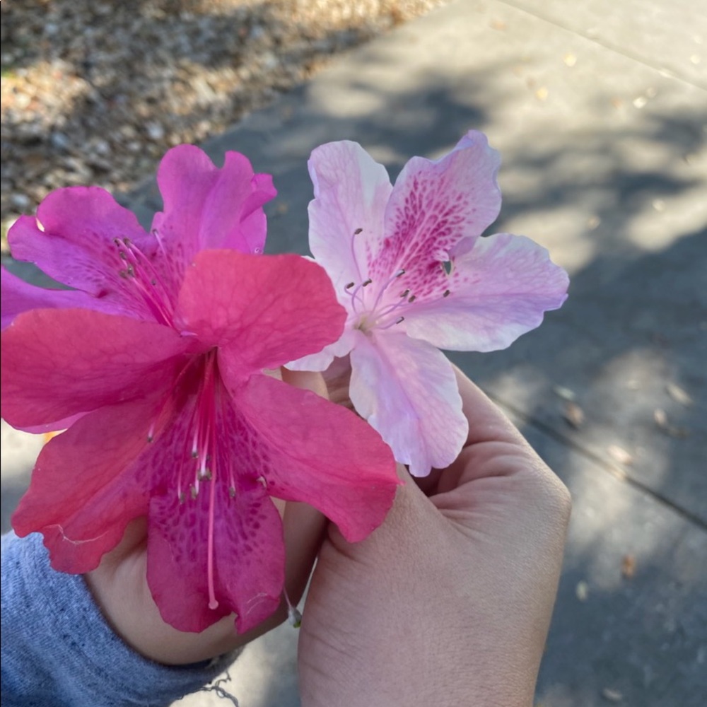 Meet your Posher, Katelyn